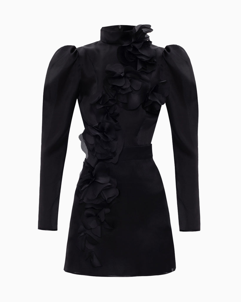 Gypsophila NOIR
