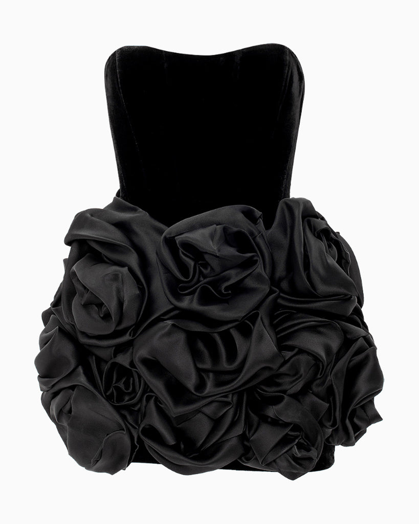 Zinnia Noir